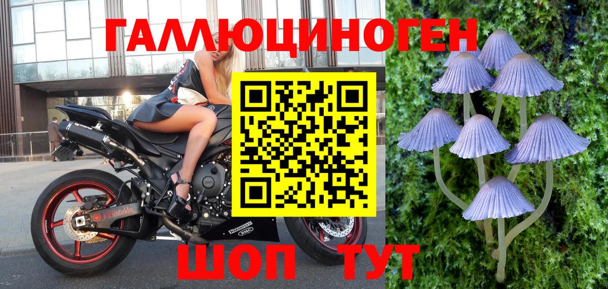 Псилоцибиновые грибы Psilocybine cubensis  Псилоцибиновые грибы MAGIC MUSHROOMS  Люберцы  где купить наркоту  Вход с VPN 